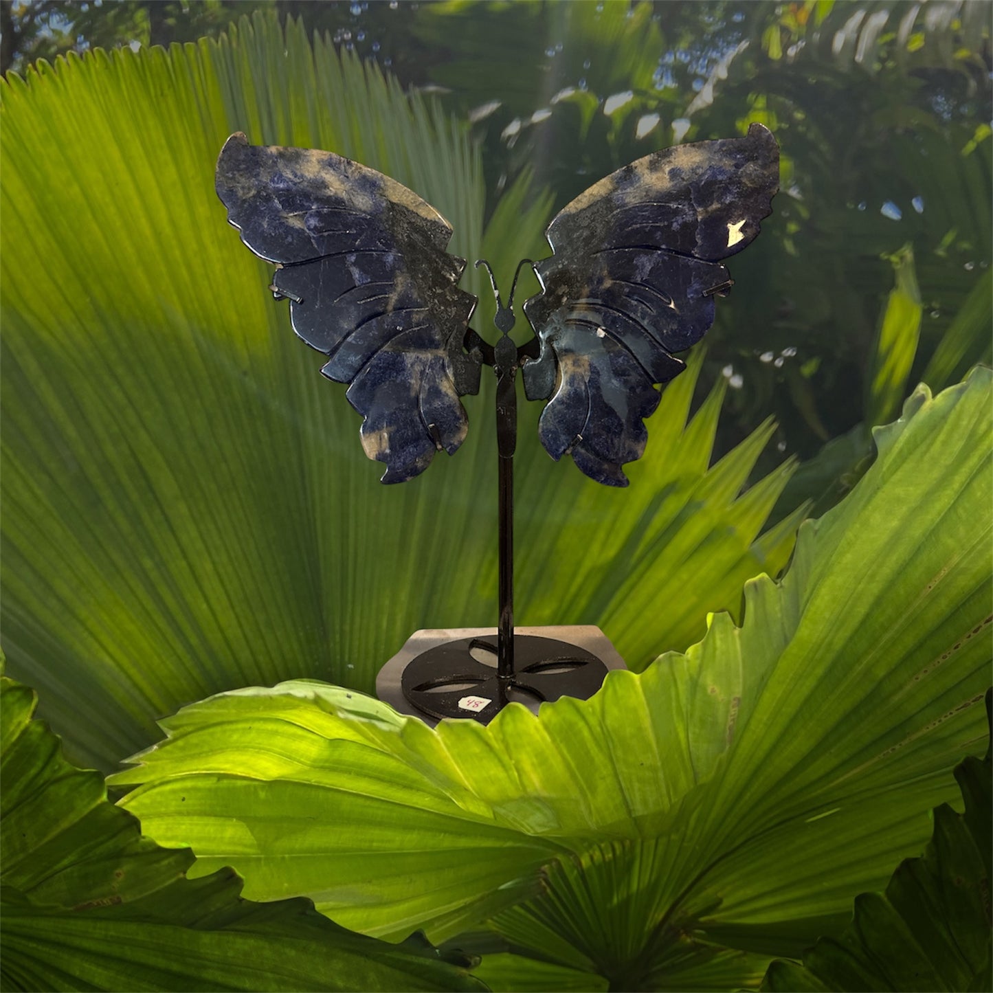 Butterfly Sodalite Wings 10”
