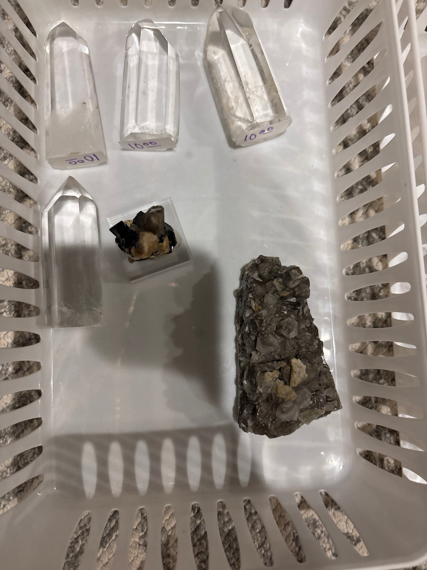 MoonGoddess1 Live Claim