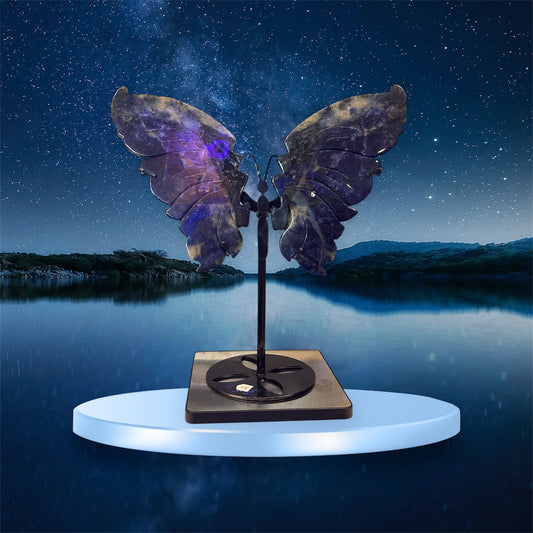 Butterfly Sodalite Wings 10”